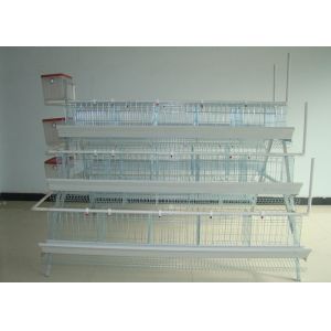 Quality Battery Chicken Farm Poultry Equipment With Auto Chicken Feeding System wholesale