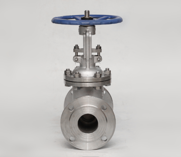 DIN Industrial Control Valves Water Oil Gas PN16 Gate Valve Stainless