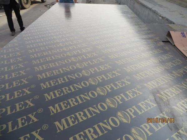 Cheap MERINOPLEX FILM FACED PLYWOOD, building construction plywood.form work.made in china. for sale
