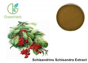 China Enhance Liver Detoxification Fruit Extract Powder 9% Schisandra Chinensis Extract on sale