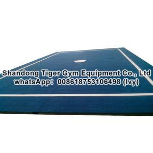 IWUF Approved Wushu Equipment Competition Wushu Carpet / Wushu Field