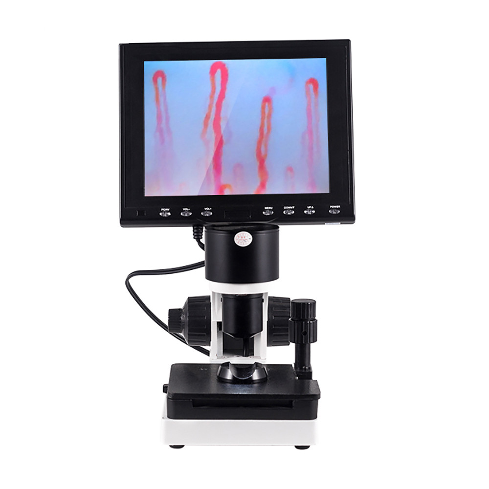 Quality Portable Led Display Nail Fold Capillaroscopy Microscope 400x Magnification wholesale