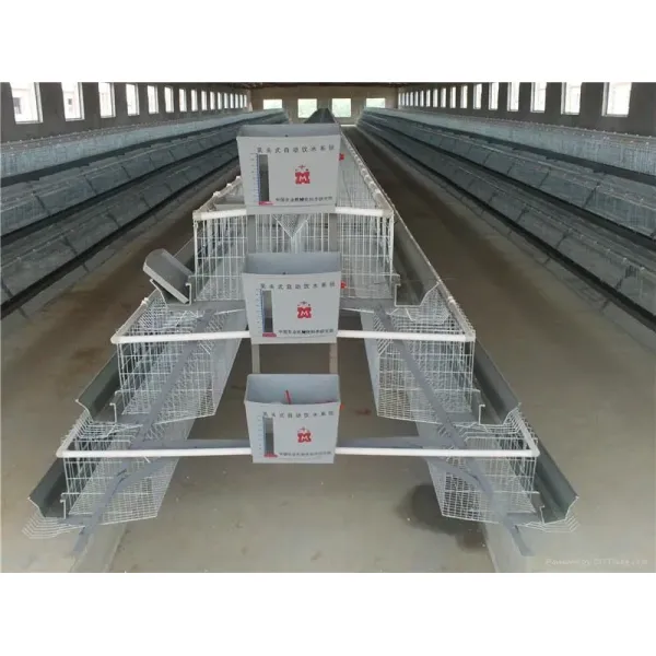 Hot Deep Galvanized Manufacture Metal Steel Broiler Layer Poultry House with Automatic Brooding Equipment