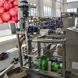 China Pasteurization Apple Juice Production Line 15T Capacity on sale