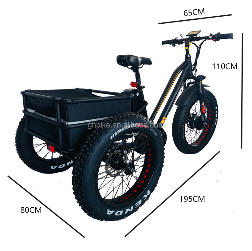 24-20" Cargo OEM Tricycle with 750W Big Motor 21AH SM Lithium Battery 45KM/H UL2849