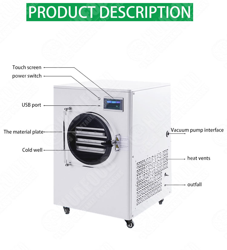 Automatic Equipment Kitchen Dry Potatoes Large Freeze Dryer home food freeze dryer