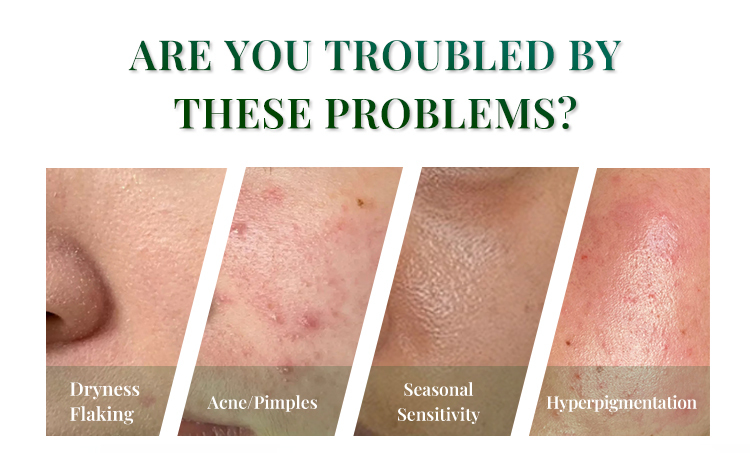 OEM ODM Customized Dropper Bottle Deep Hydration Barrier Repair Skin Hyaluronic Acid Serum