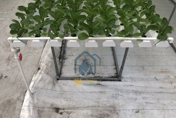 Smart NFT Hydroponic Growing System Plant Growth Commercial And Indoor Garden Kit