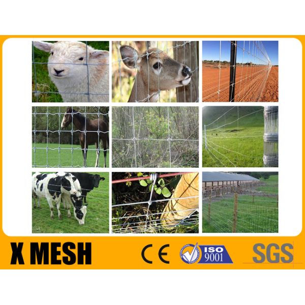 Hinge Joint Galvanized Field Fence With Wire Mesh 1.8m ASTM A121