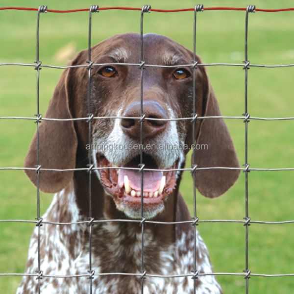Metal Frame Galvanized 5 6 7 8 ft Fixed Knot Farm Fence for Sheep and Deer Welded
