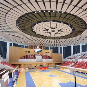 S235JR Prefabricated Steel Structure Sports Hall 150mm Roof Lightweight