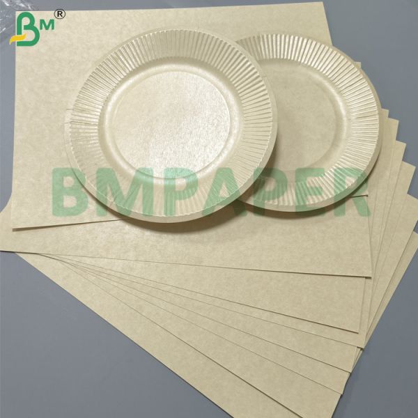 PET Coating Paperboard Heat Resistant For Disposable Paper Plate