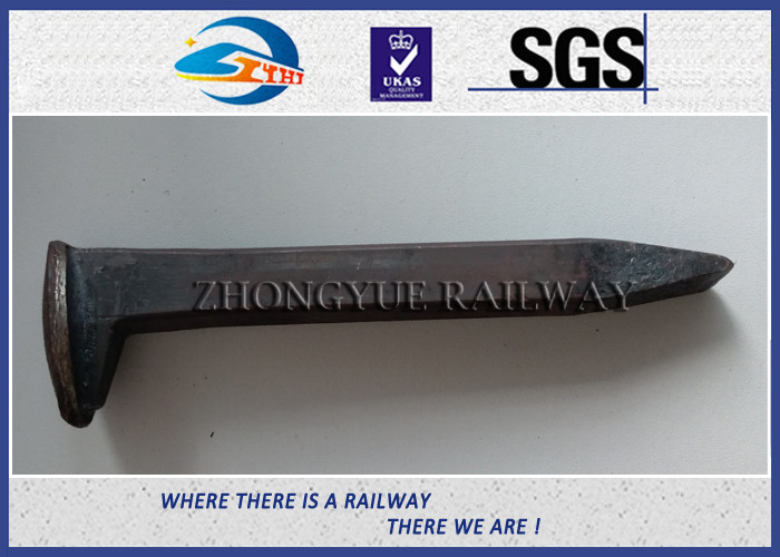 Black Oxide Customized Dog Spikes With ISO Certificate 4.6# Material
