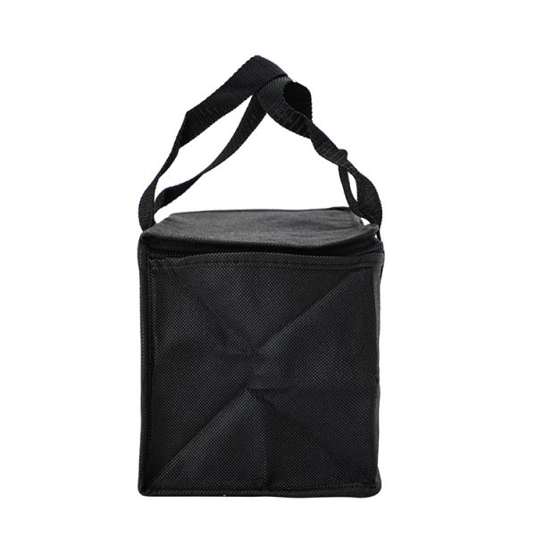 Waterproof PE Foam Insulated Delivery Bag Trunk Size Extra Large Collapsible Insulated Zippered Coolers With Reinforced