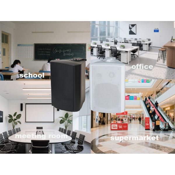 30W 100V 5-inch Woofer Wall Speaker Individual Tweeter Two Way Speaker Factory Direct Use OEM ODM