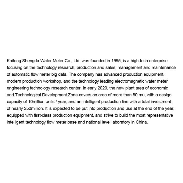 Shengda 2 Inch 50 mm Water Flow Meter Digital Fluid Flowmeter