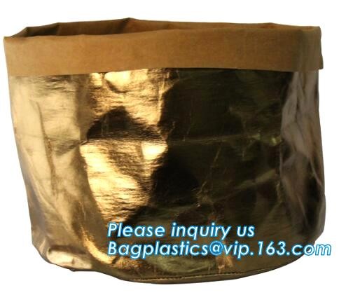Custom Eco friendly tyvek Lunch bag Insulated Cooler bag,tyvek kraft paper insulated aluminum foil lunch box bag with sn