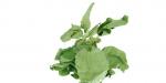 Epimedium leaf from Epimedium brevicornu Maxim enhance sexual ability Yin yang