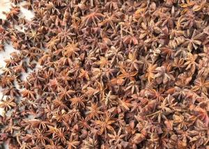 China New Crop Autumn Star Anise Seeds Natural on sale