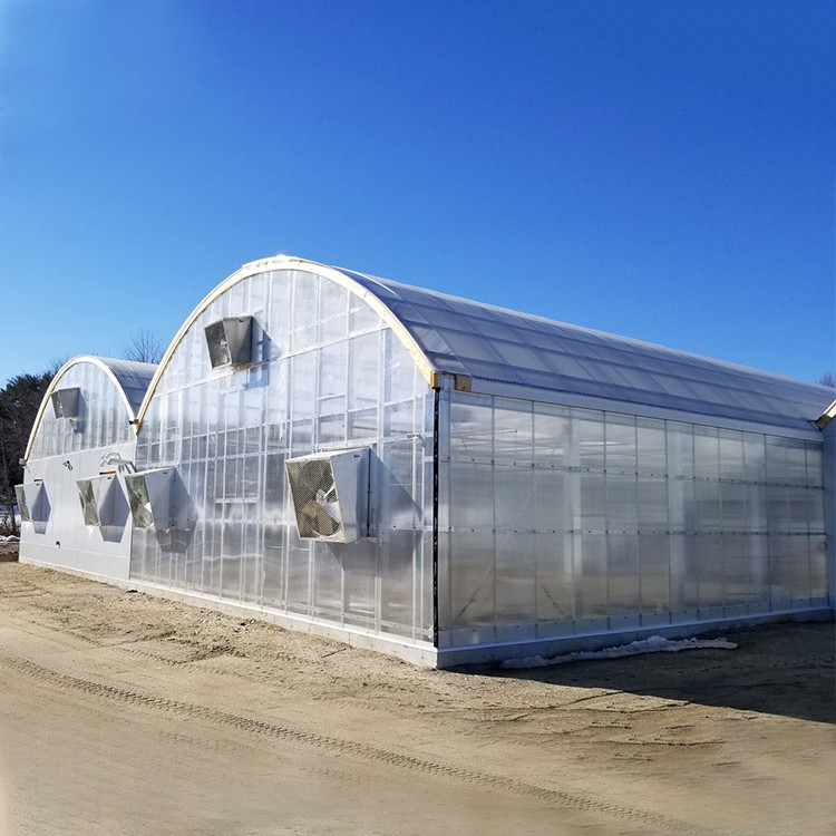 Multi Span Tunnel 8mm Polycarbonate Sheet Greenhouse For Gardening