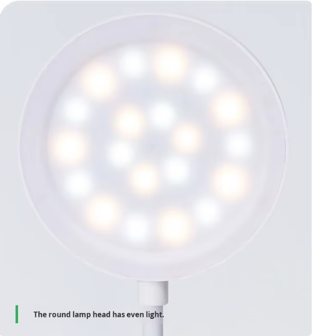 Modern Simple Pen Holder Desk Lamp LED Rechargeable Plug-in Eye Protection Study Lamp College Dormitory Reading Lamp Touch