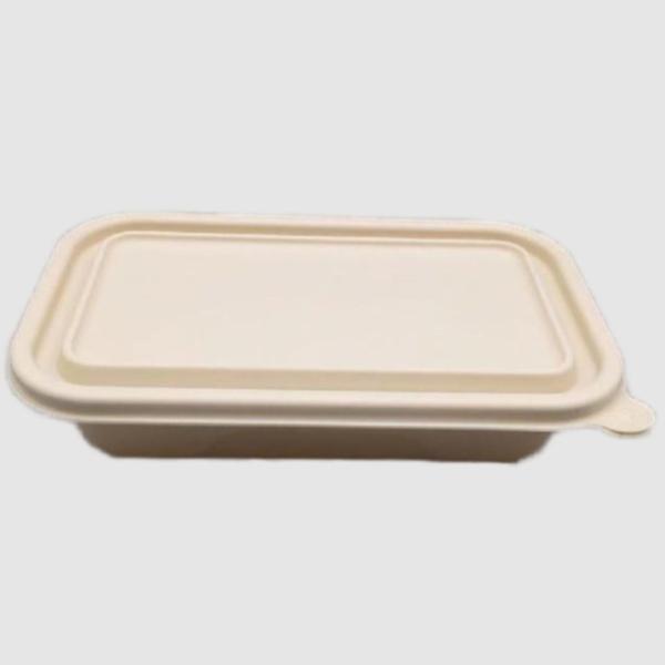 Heat Resistance Eco Friendly To Go Containers Disposable Rectangle Food