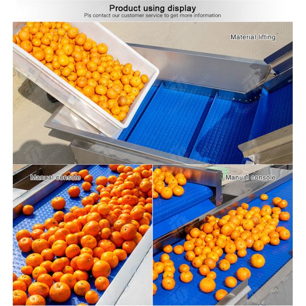 vegetable drying equipment Fruit and vegetable selection washing and drying production line Fruit Vegetable FOOD processing production Machine fruit