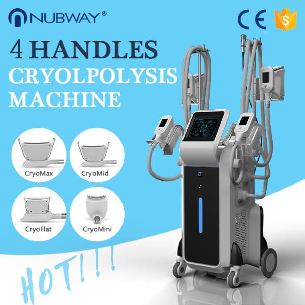 4 handles coolsculpting cryolipolysis fat freezing slimming system 4 handles