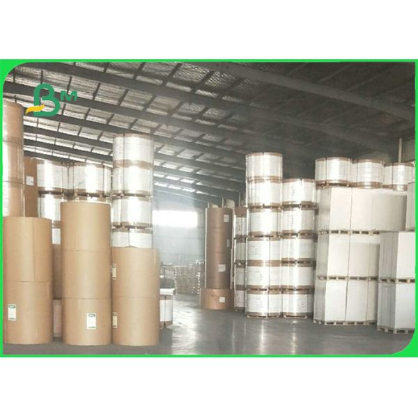 330GSM / 350GSM+18g PE Coated Paper For Coffee Hot Cups Waterproof & Durable 330GSM / 350GSM+18g PE Coated Paper For Coffee Hot Cups Waterproof & Durable