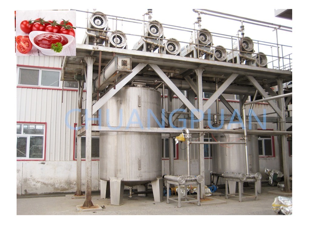 Automatic Packaging System for Tomato Paste Production Line with Customized Design