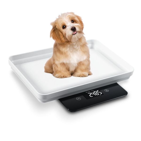 5kg 1g Big Tray Portable Electronic Digital Pet Kitten  animal balance Weighing Scales Puppy Scale for Tiny Pets