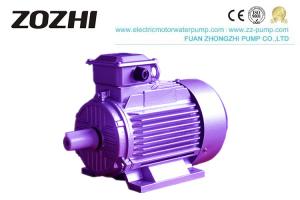 China Cast Iron Housing 3 Phase Induction Motor , 30KW 40 HP Electric AC Motor Y2-200L-4 on sale