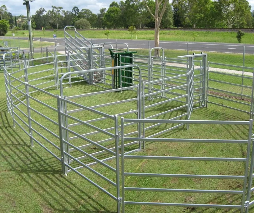 Australia Portable Farm Livestock Steel Fence Panels Galvanized For Cattle