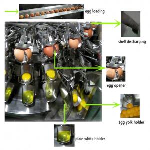 Quality Egg Yolk and Egg White Separator Automatic Egg Breaker wholesale
