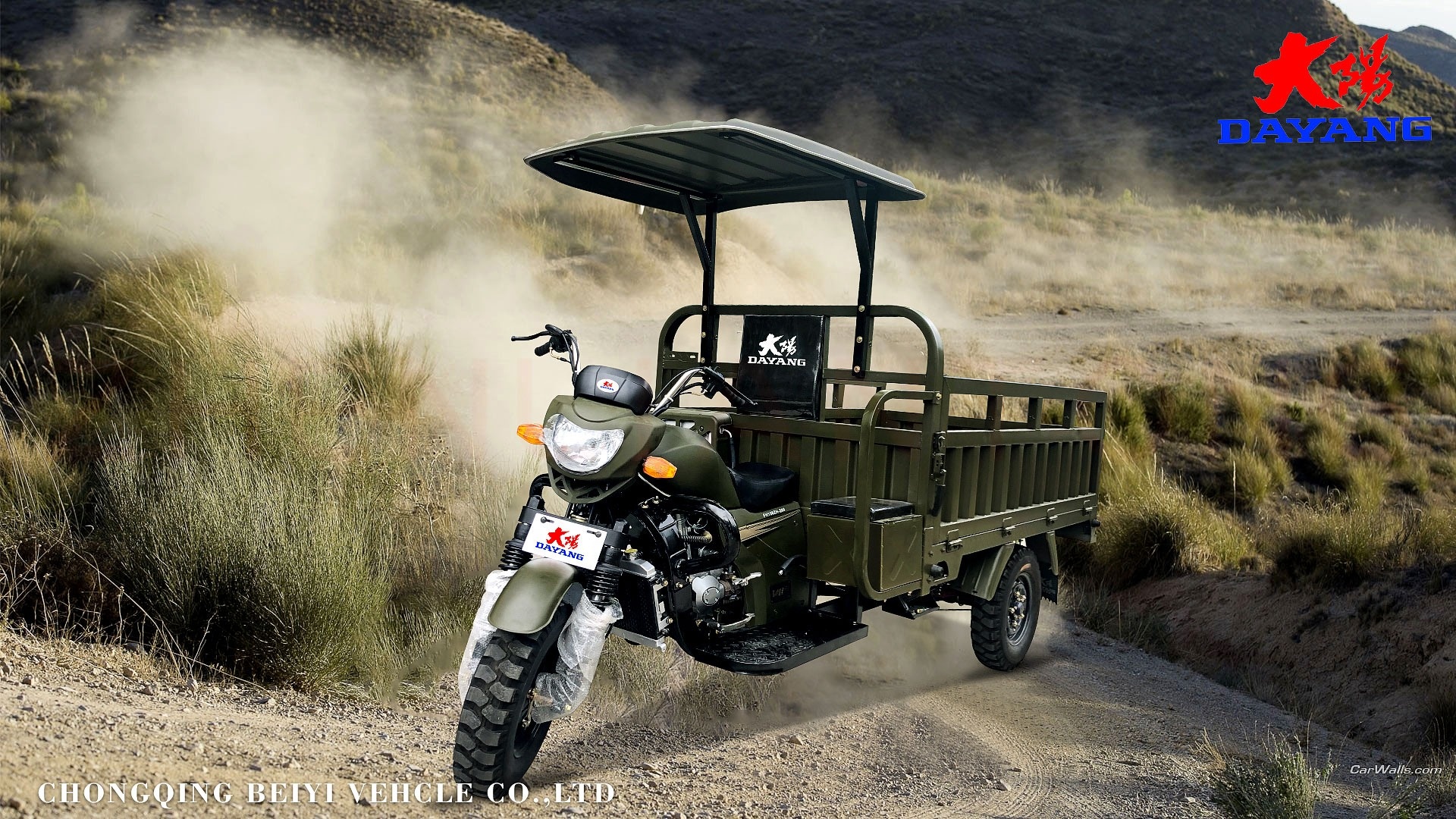 Cargo Tricycle Three Wheel Motorcycle with Two Seats and 10-20L Fuel Tank Capacity