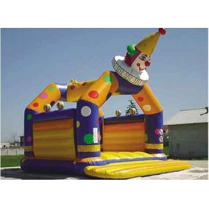 Inflatable Bouncer / INFLATABLE jump / inflatable clown bouncer