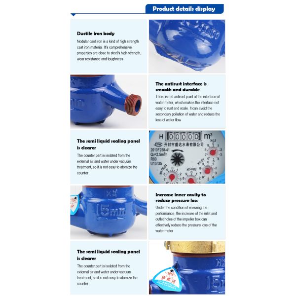 DN15 Multi Jet Wet or Dry Type Water Meter Manufacture