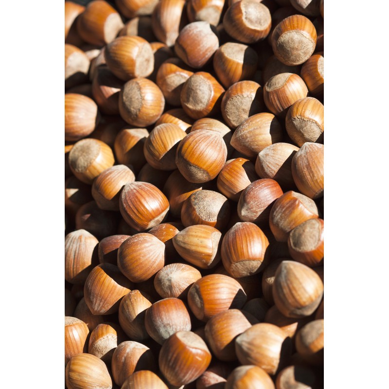 AI Vision Sorting Device with Dual-Belt System for Hazelnuts Featuring Food-Grade Design and Flexible Capacity Options