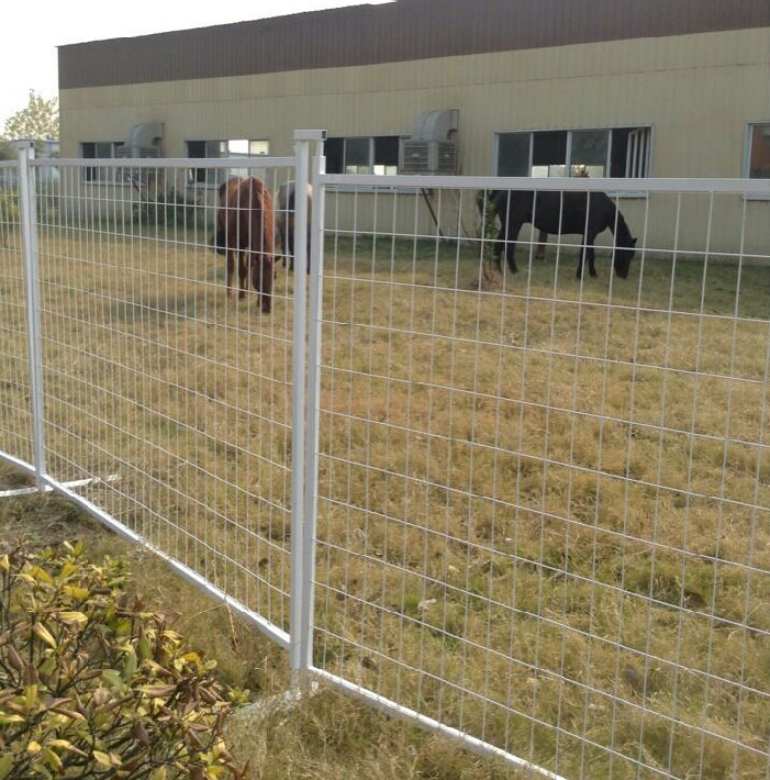 Hot sale temporary metal fence panels for Canada