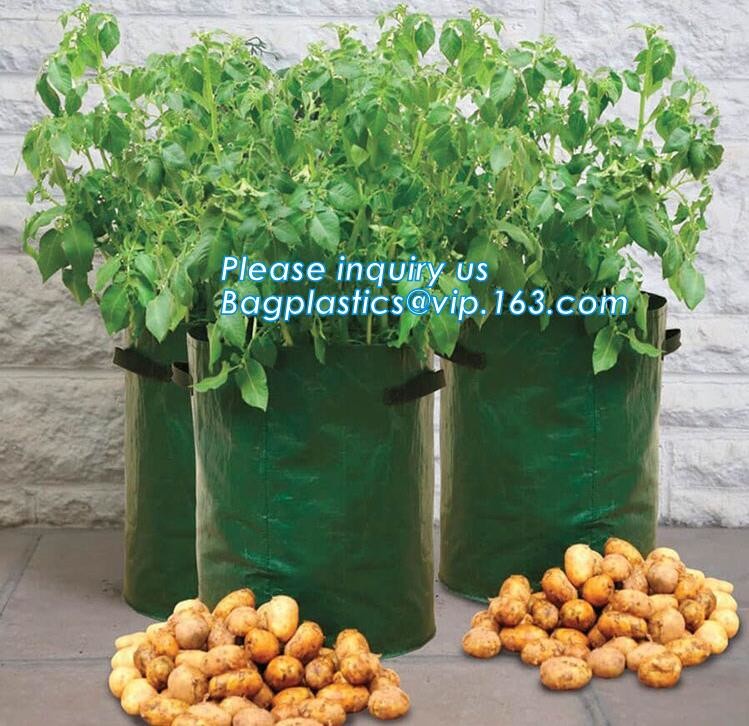100 /200/300 gallon tan tree grow bag 100gallon grow bag for plant trees,vegetables grow bags planting bags growing bags
