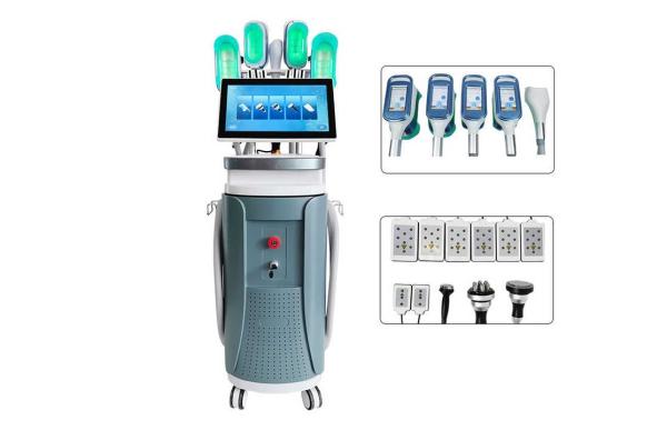 Vertical Professional Cryotherapy Weight Loss Cellulite Removal Cryolipolisis
