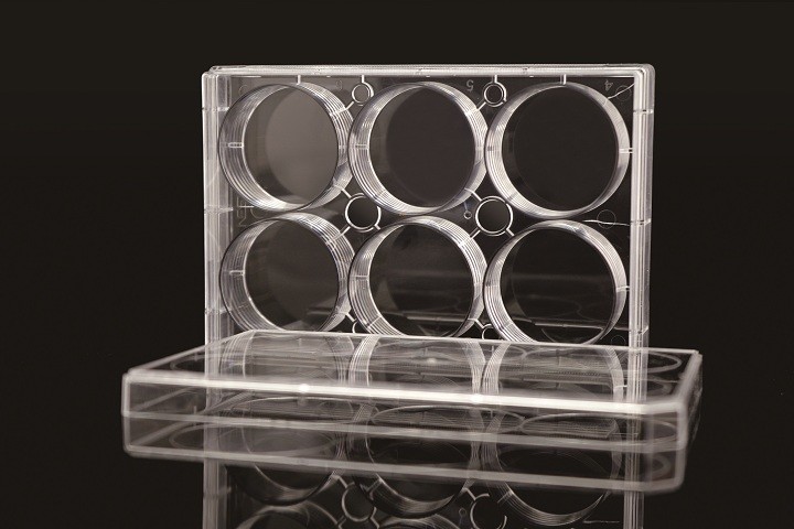 Lab Disposable EDGE 6 Well Cell Culture Plate
