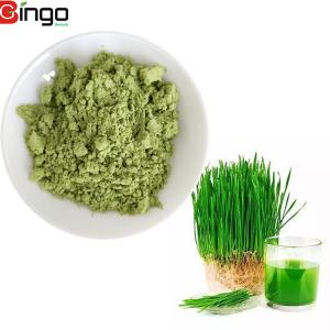 Quality hot selling natural barley powder grass barley grass juice extract powder barley grass powder wholesale