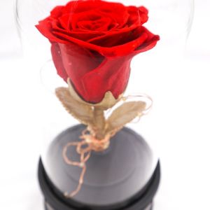 Quality Customized Color Preserved Rose Glass Dome Bluetooth Speakers For Home Decoration wholesale