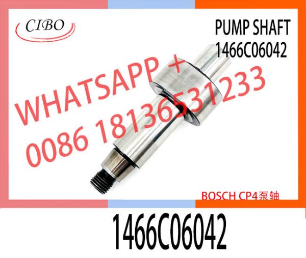 High Quality Bosch CP4 camshaft 1466C06045 1466C06030 1466C06025 1466C06042