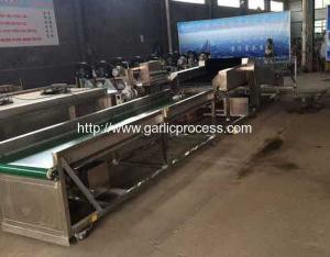 Quality Garlic Dry Cleaning Machine wholesale