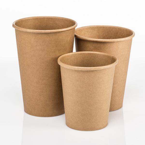 Insulated Lining Printed 18oz Biodegradable Kraft Paper Cups Hot Beverage