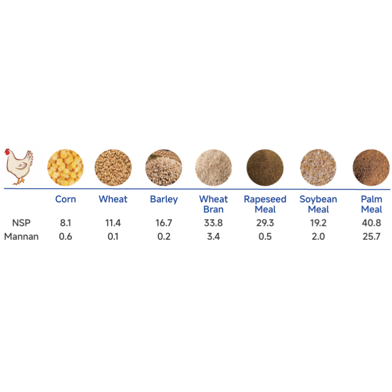 Beta Mannanase in Vitro Fermentation for Palm Meal Soybean Meal Raw Material Processing