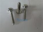 Special Hex Step Bolt with Steel Sharp Point nickel coating