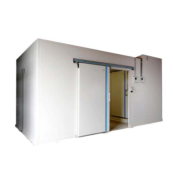 PU Sandwich Panel Refrigeration Cold Room Shocking Freezer vegetable cold